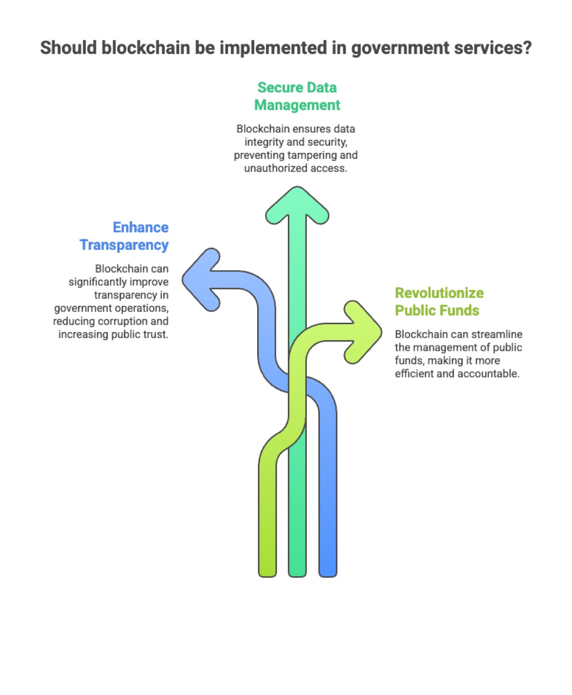 Blockchain in Government: Preventing Data Tampering